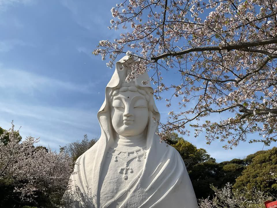 映画監督 東真司 Shinji Azuma (柴谷英樹) ANKH tweet media