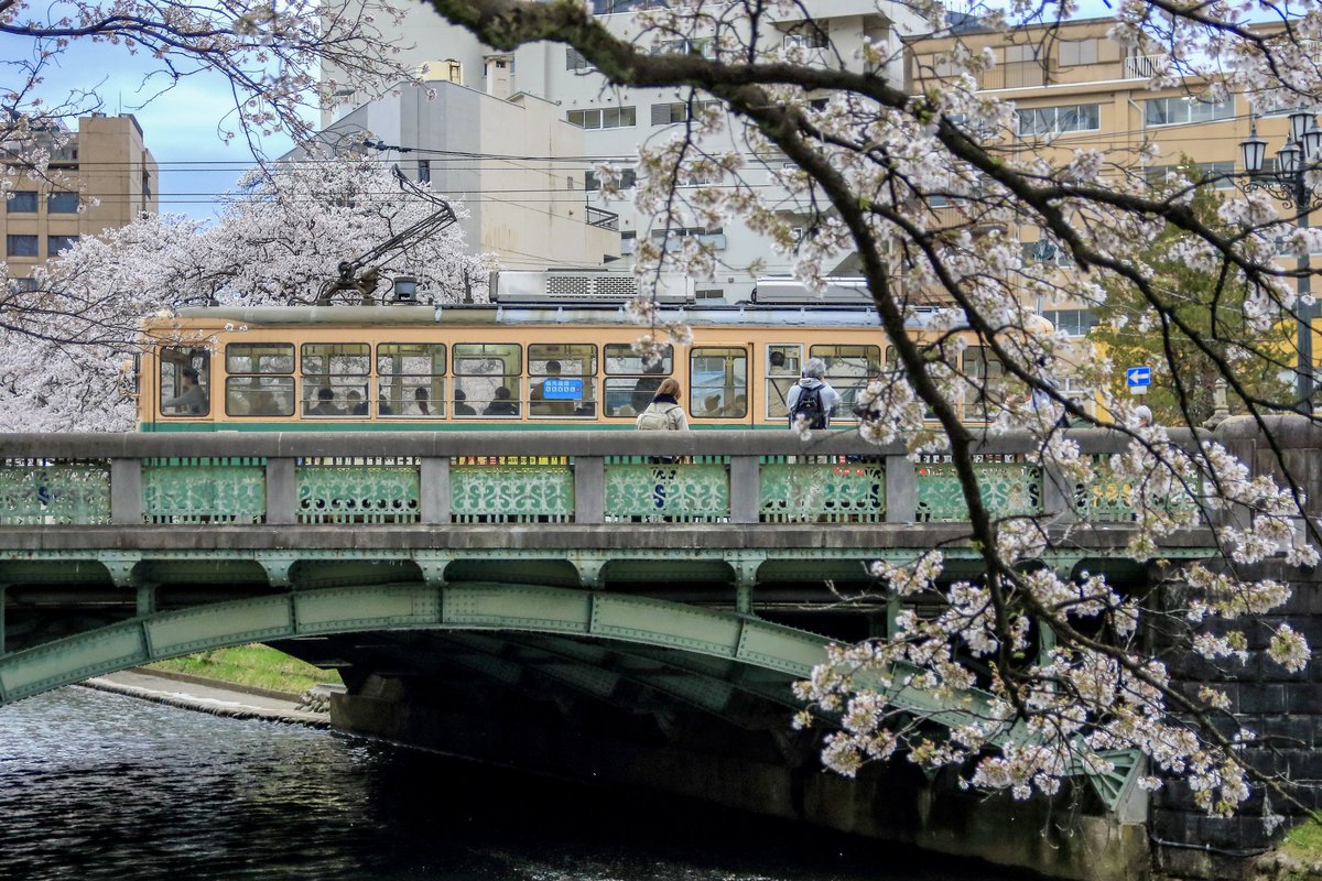 やすてぃ🍥 tweet media