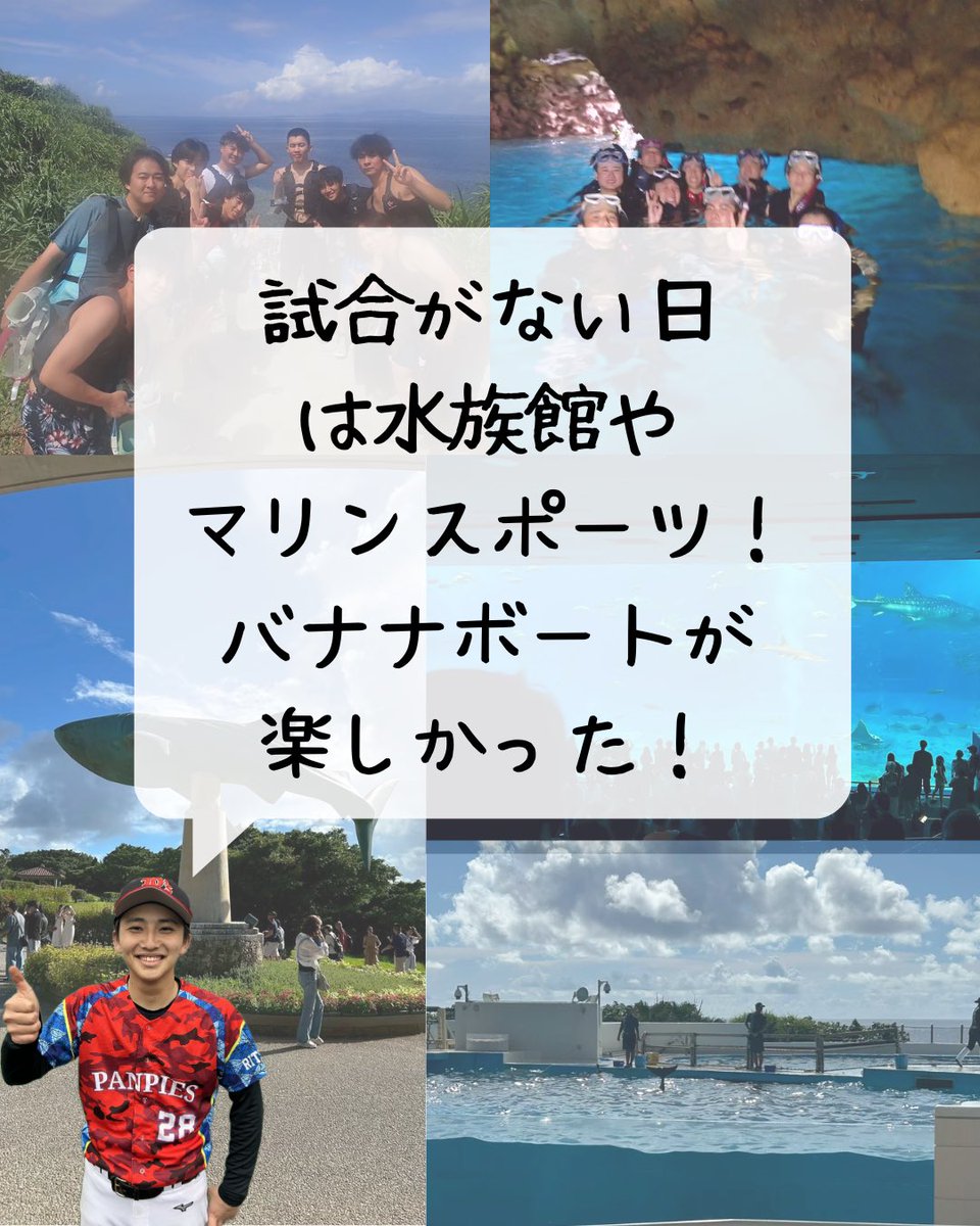 9Panpies's tweet photo. 🌺沖縄大会2026🌺

パンピースは毎年9月に
5〜6日間の沖縄遠征へ✈️

沖縄キャンプでプロも使用する球場で、全国から集まったチームと試合⚾️
試合がない日は——
観光！マリンスポーツ！🌊
沖縄を全力で満喫します😎

#立命館 #春から立命館 
#野球サークル #立命館大学びわこくさつキャンパス https://t.co/CnBjS6h3bp