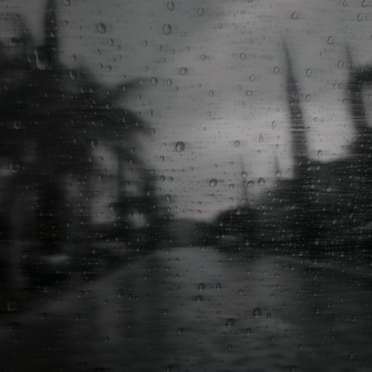 𝘴. 𝘣𝘪𝘳𝘬𝘪𝘯 tweet media