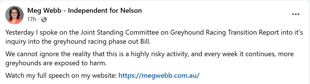 susanamet's tweet photo. Meg Webb, Independent for Nelson Tasmania:

"I do think we should bring this activity of greyhound racing to an end ... it's an inherently & irredeemably dangerous activity to put dogs to, primarily for the purposes of being gambled on ... the activity itself cannot be made safe. It cannot be made safe"

#bangreyhoundracing