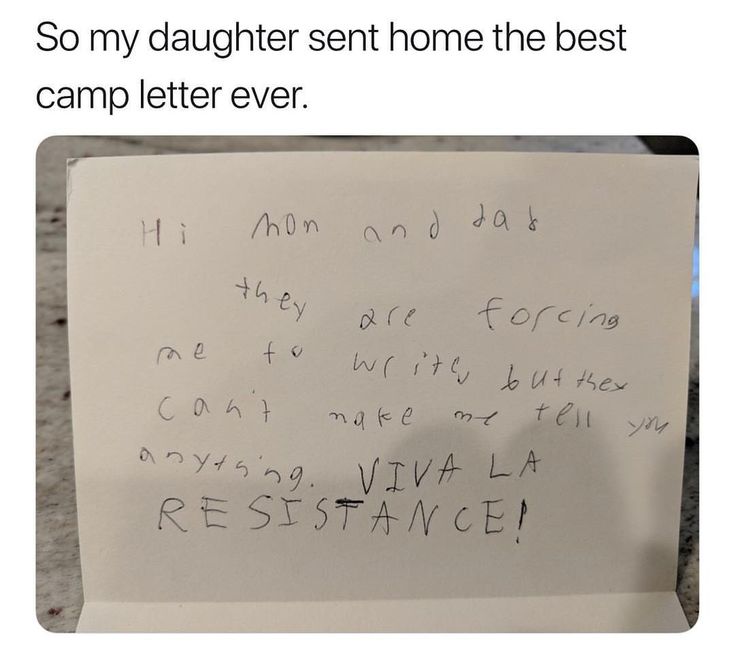 Wolf of X tweet media