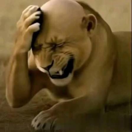 Sinho 𓄿 tweet media