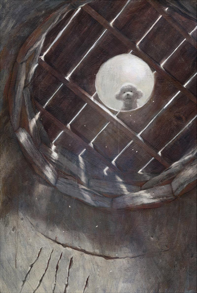 conejo malo tweet media