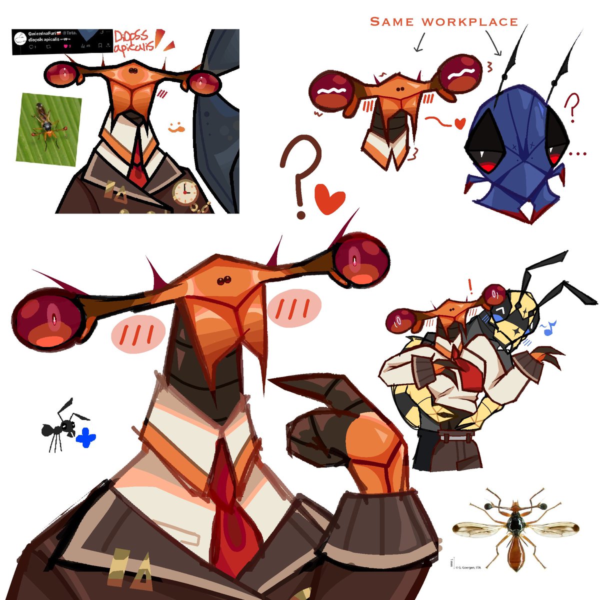 Starpost_Ant's tweet image. Wanted to doodle this cutie 🧡🦟 #art #insect