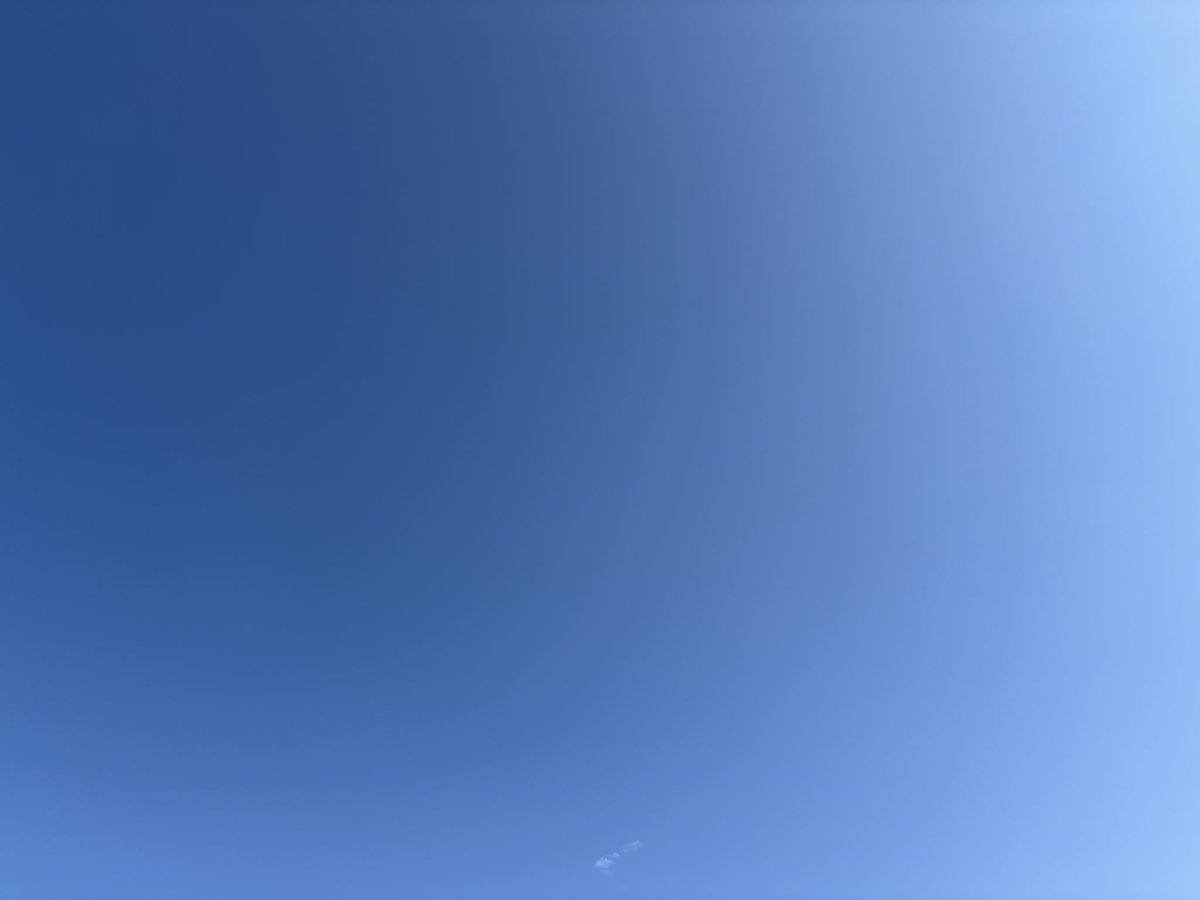 ひと美 tweet media