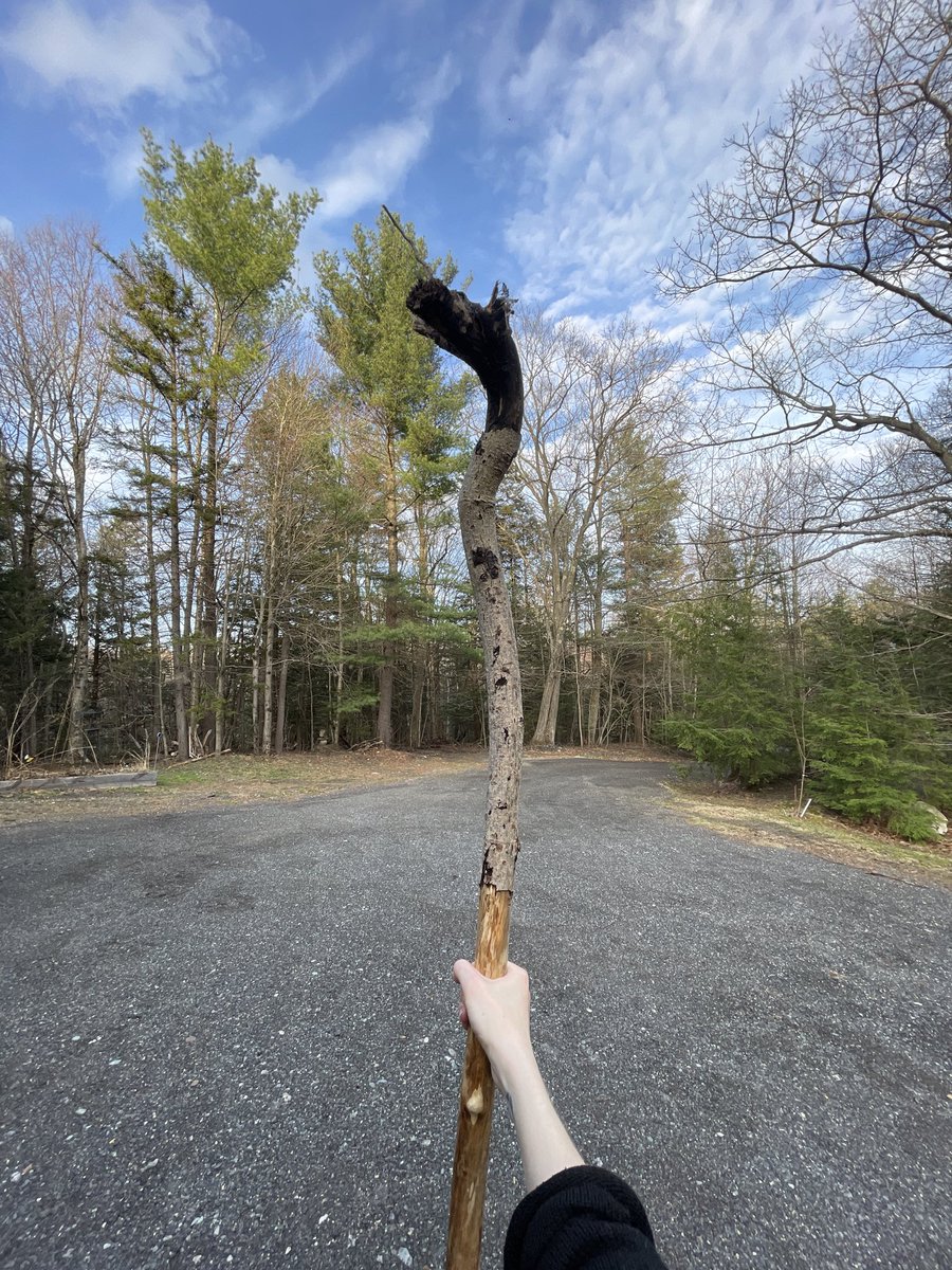 Katrin Albert tweet media