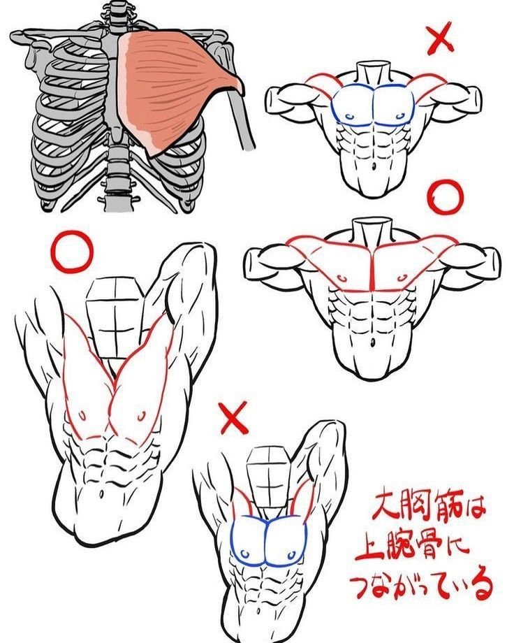 MUSYCMOTYON© tweet media