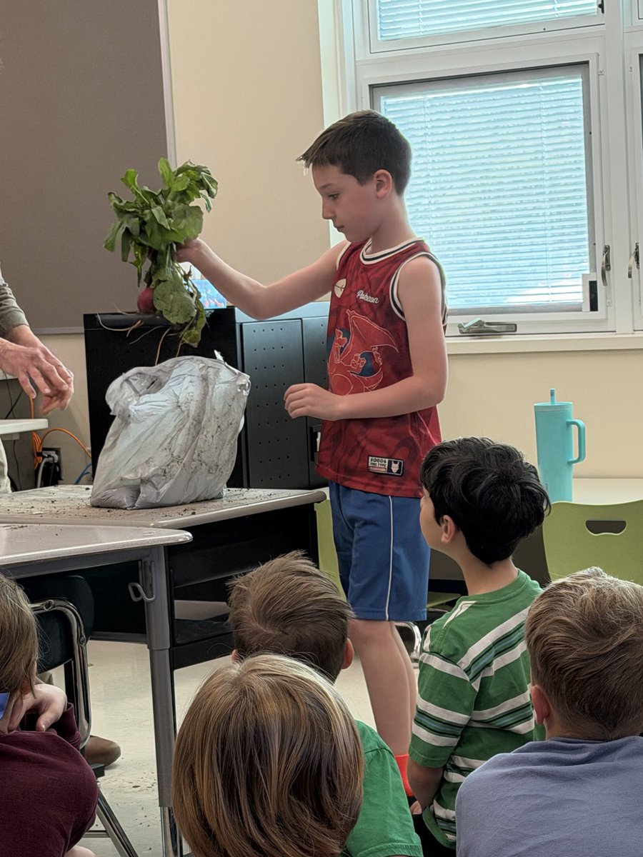 Katie Hall tweet media