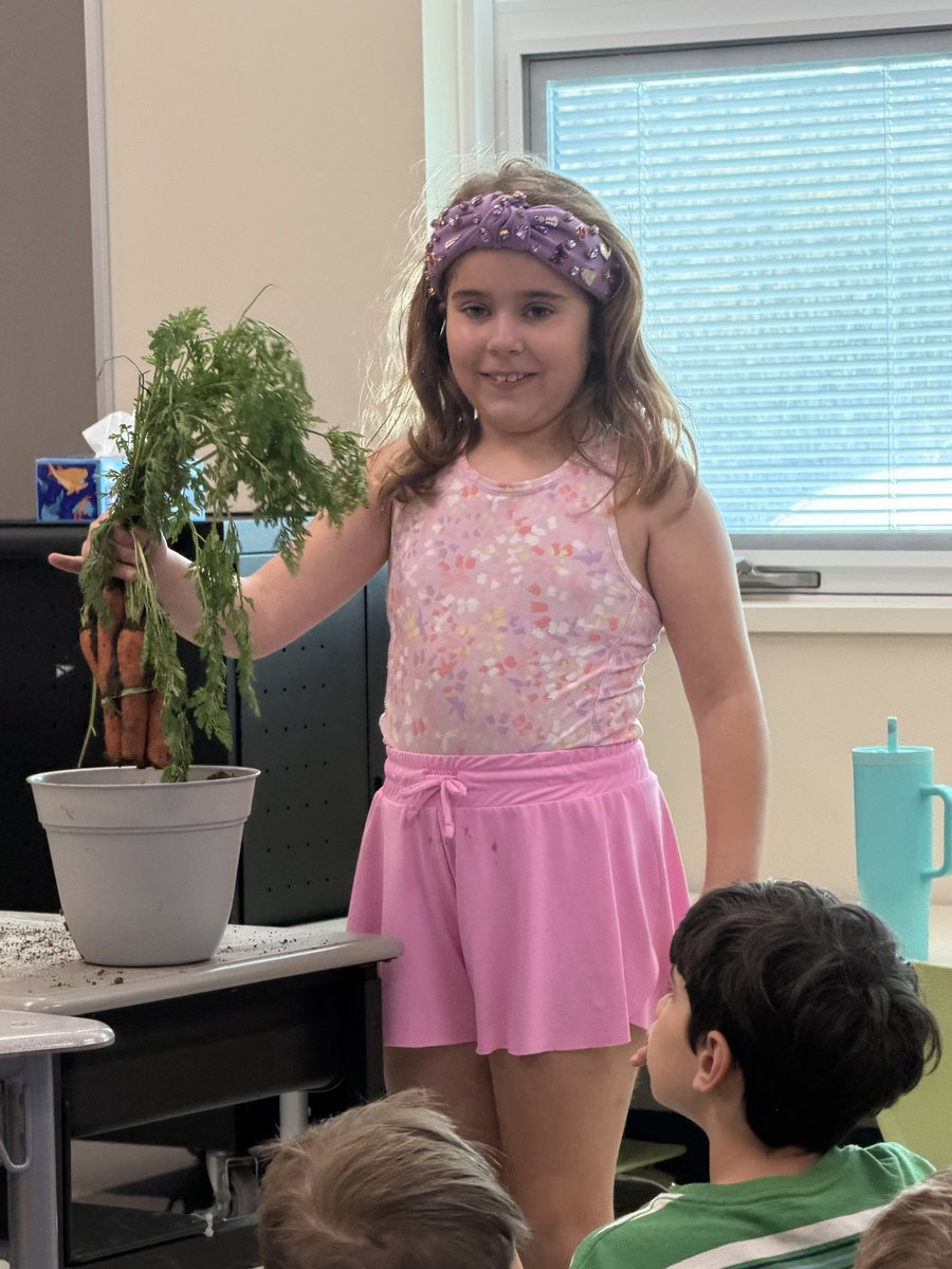 Katie Hall tweet media