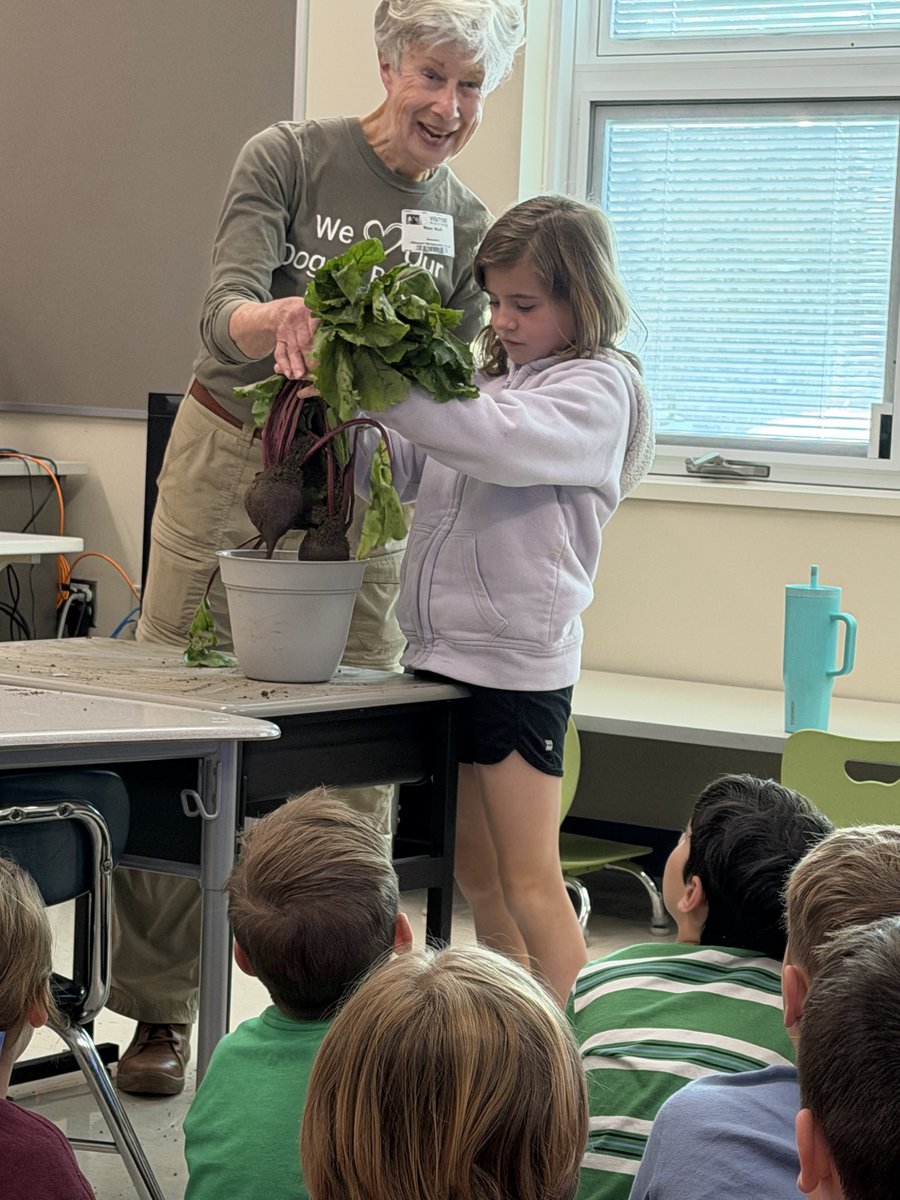 Katie Hall tweet media