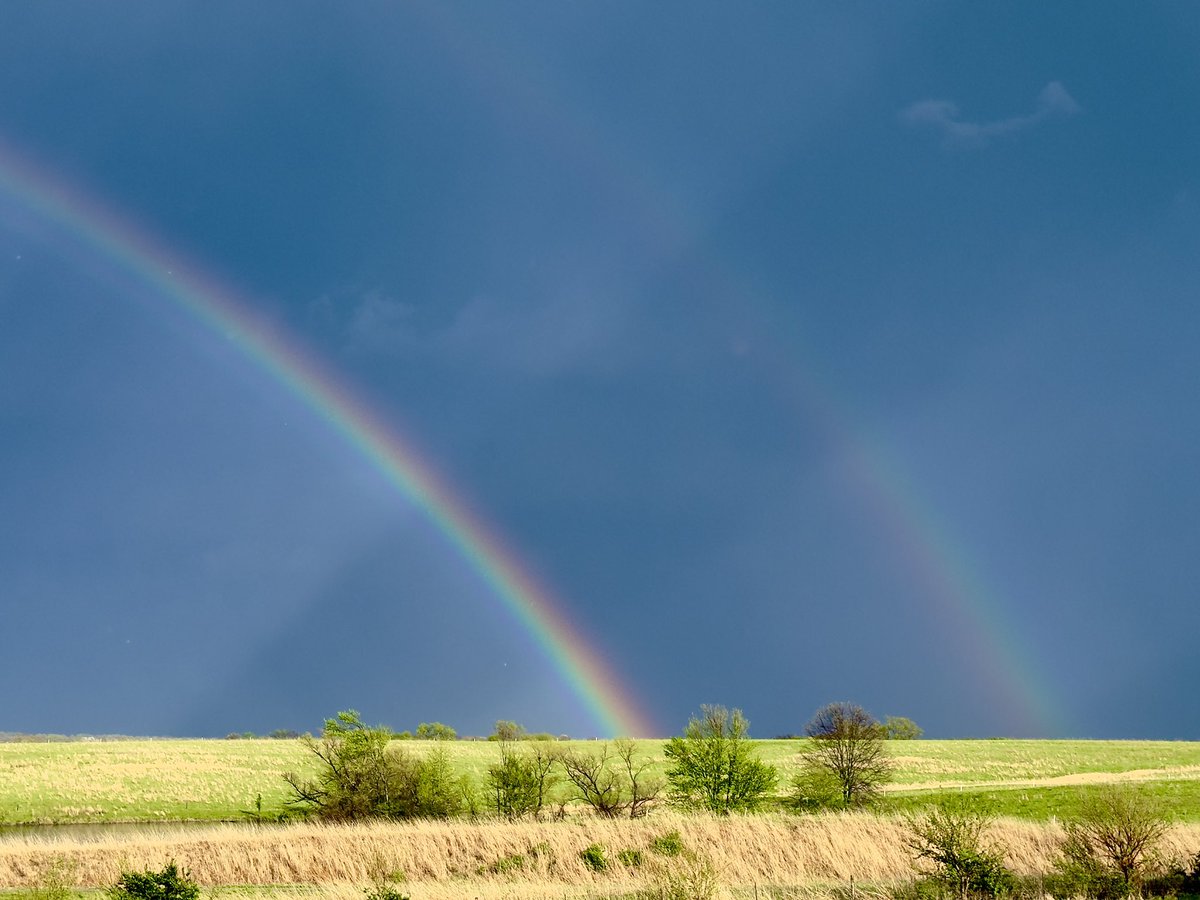 Alex Pickman tweet media