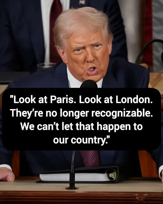 wolf_patriot737 tweet media