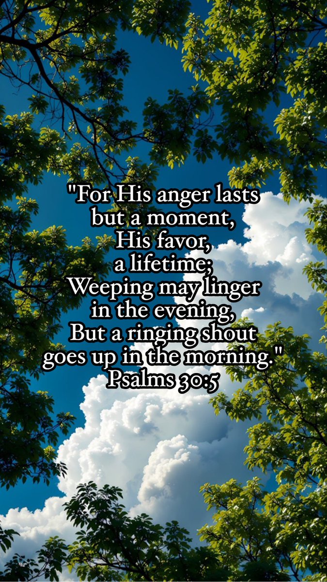 nelsonbibit tweet media