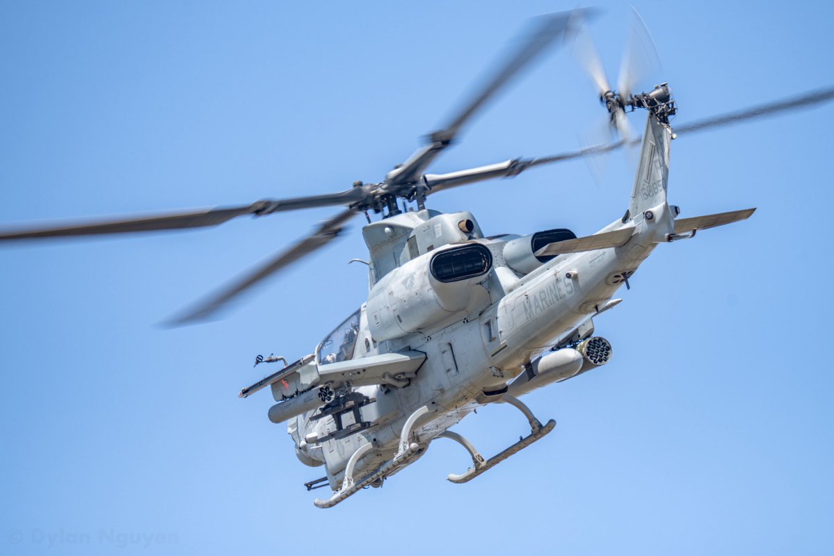 Dylan Nguyen tweet media