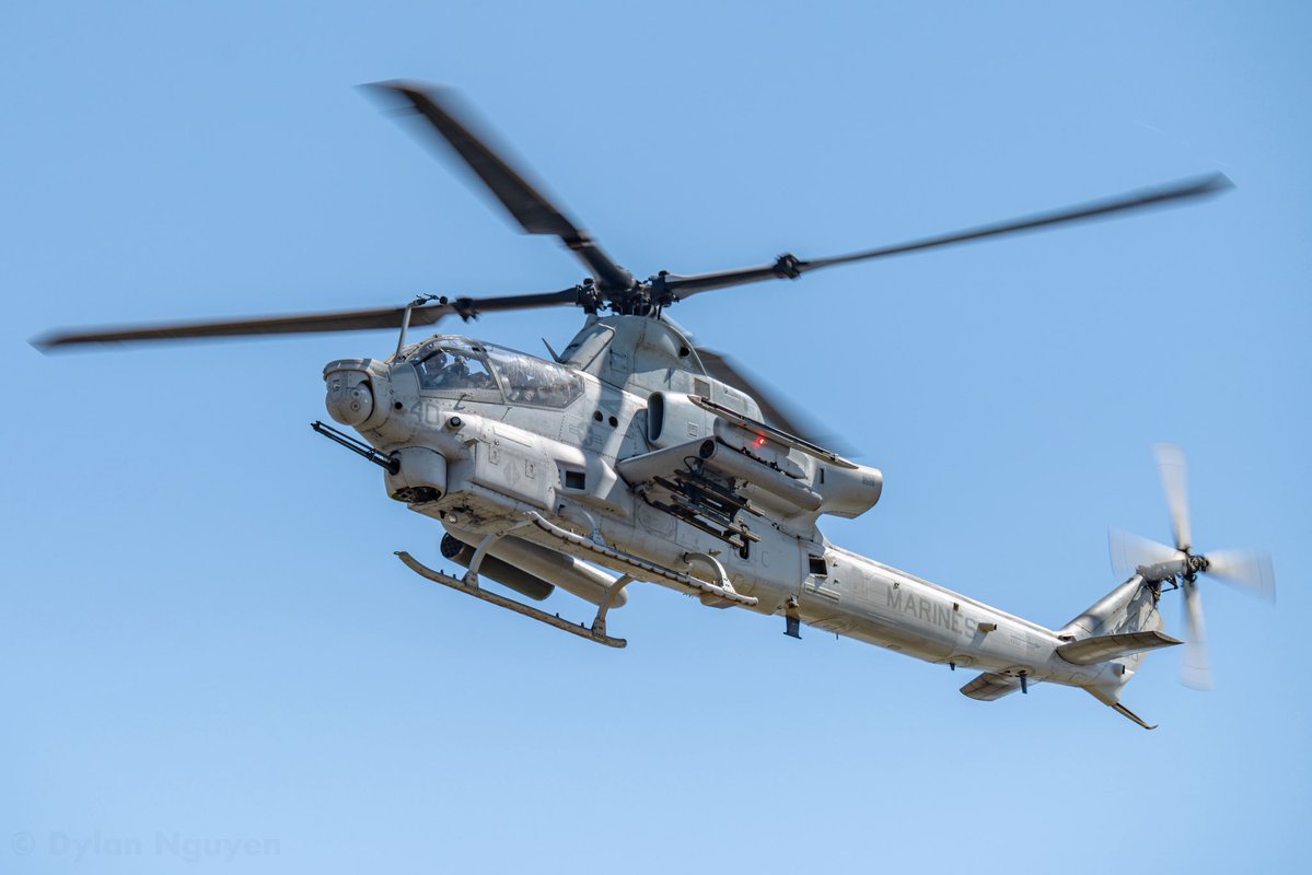 Dylan Nguyen tweet media