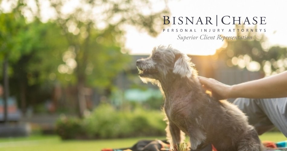 Bisnar Chase Personal Injury Attorneys, LLP tweet media