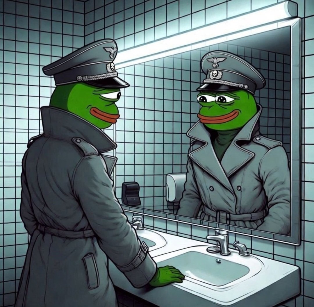 Hayden nicholas tweet media