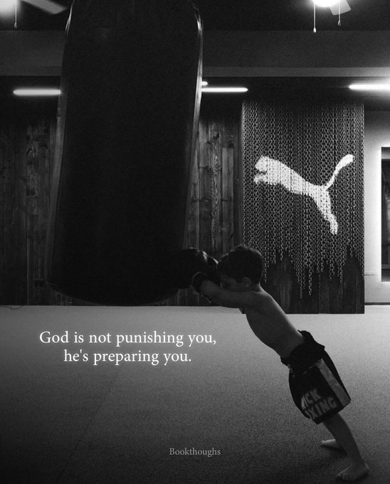 Mindful Maven tweet media