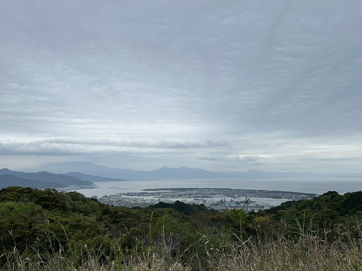 ふーた🐕🐾 tweet media