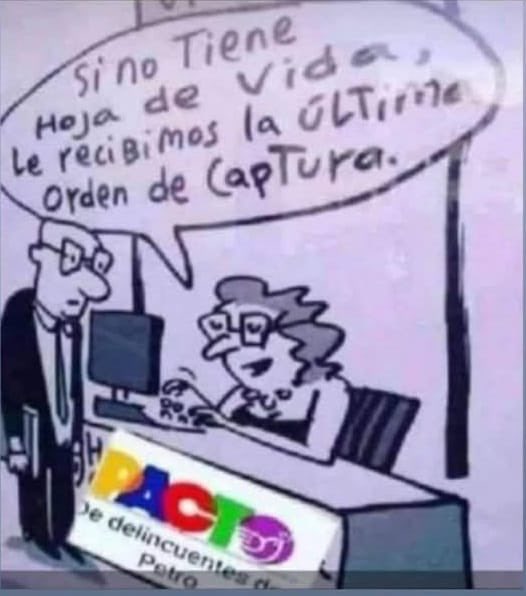 MARIA ANDREA NIETO tweet media