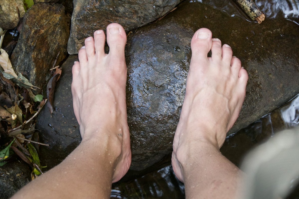 Master Luis | 12K tweet media