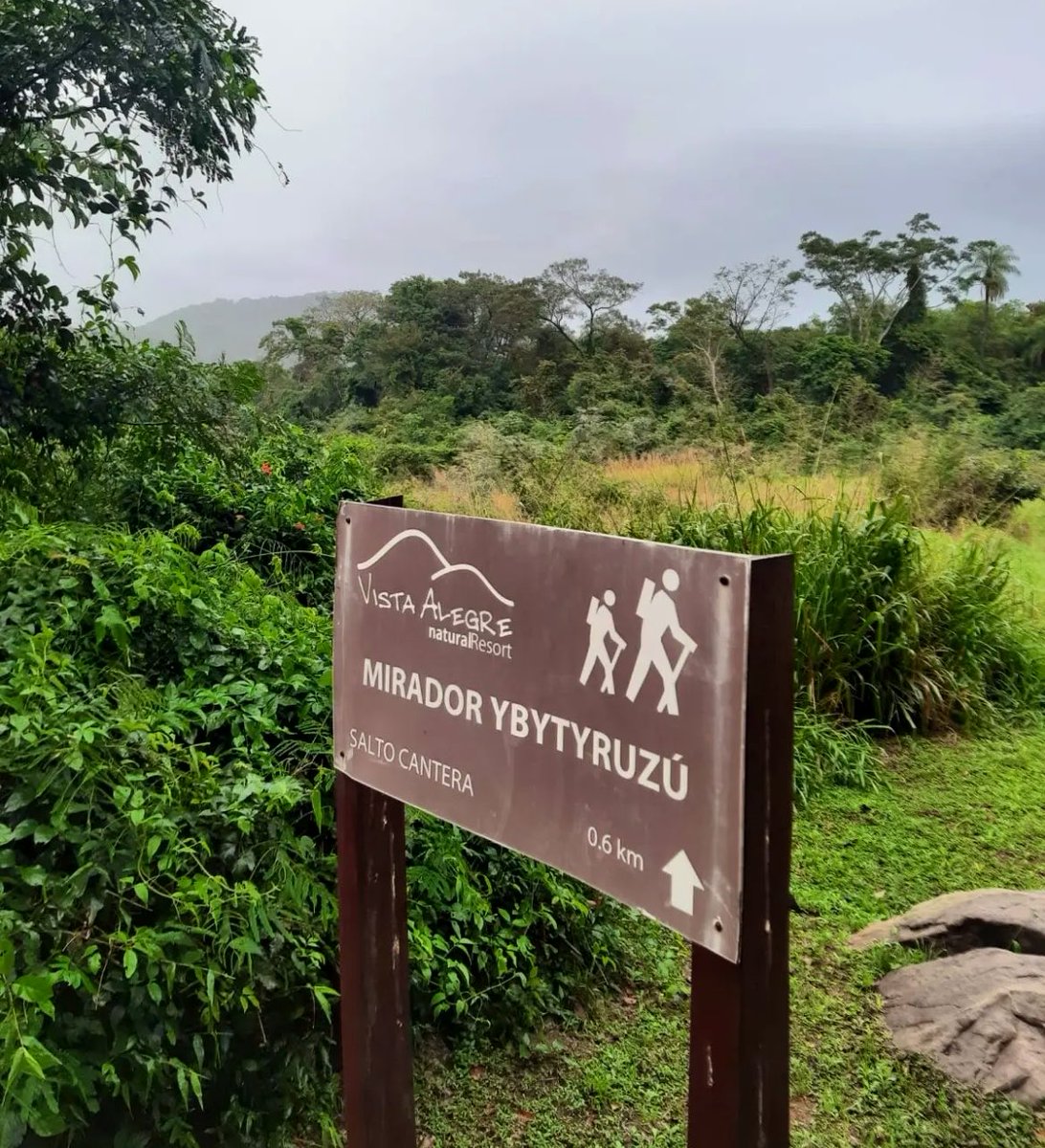 Ariel Basualdo tweet media