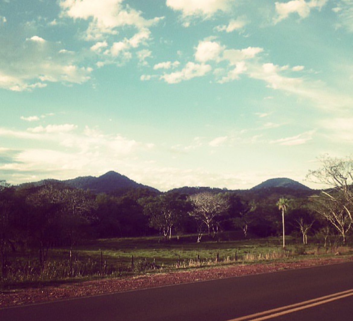 Ariel Basualdo tweet media