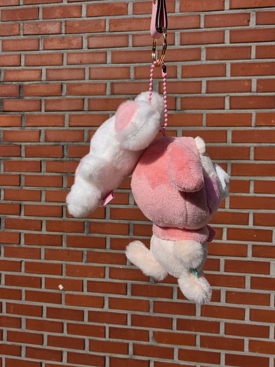 후유키 tweet media