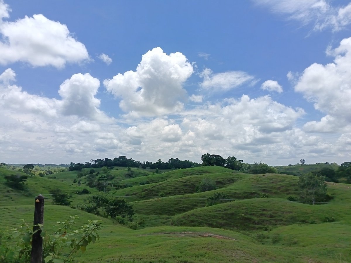 XicoSieber's tweet photo. Desde @AcnurColombia 🇺🇳 acompañamos a las comunidades campesinas de Yondó, en Antioquia 🇨🇴, expuestas, no por primera vez, a desplazamiento forzado y el despojo de sus tierras.

#JAC #procesocomunitario #Protección
#Soluciones https://t.co/bUFwqXFwlL