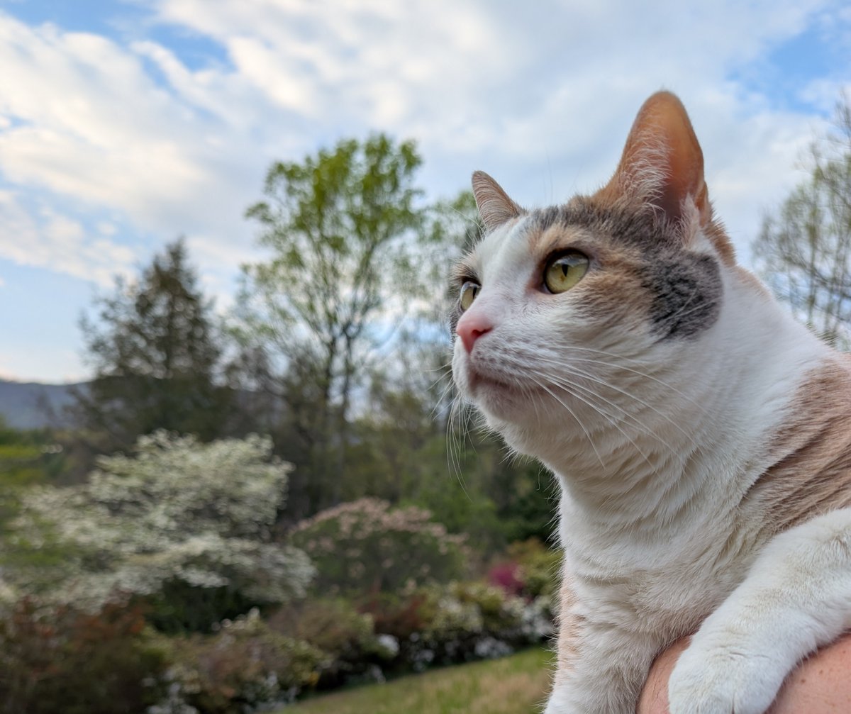 Skuttlebutt tweet media