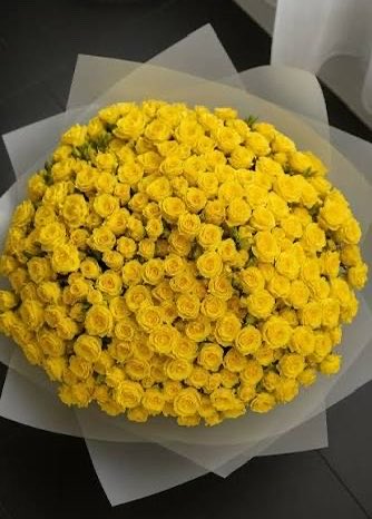 angel.i-pjm🫦 tweet media