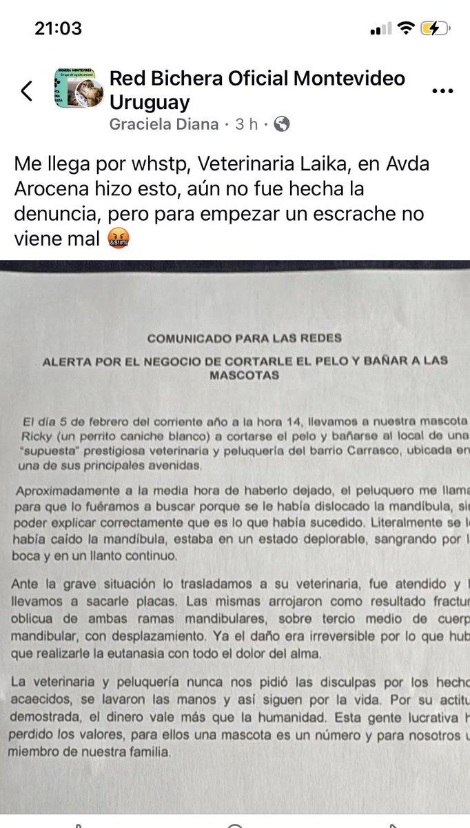 Ojo con esta veterinaria 🙏🏻🙏🏻🙏🏻😡😡😡