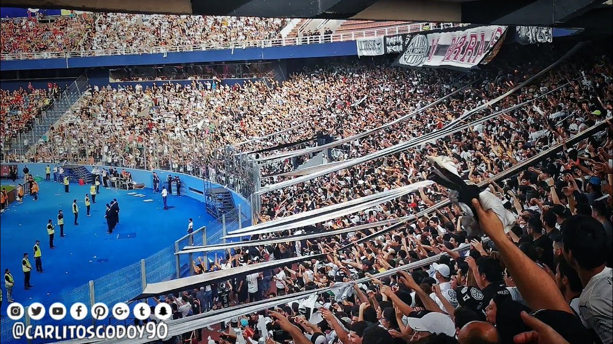 Pollismo tweet media