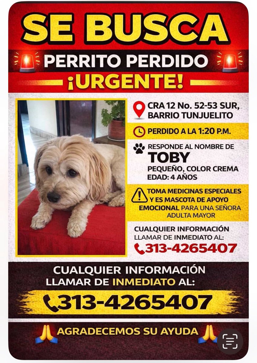 MÓNICA RODRÍGUEZ 🐤 tweet media