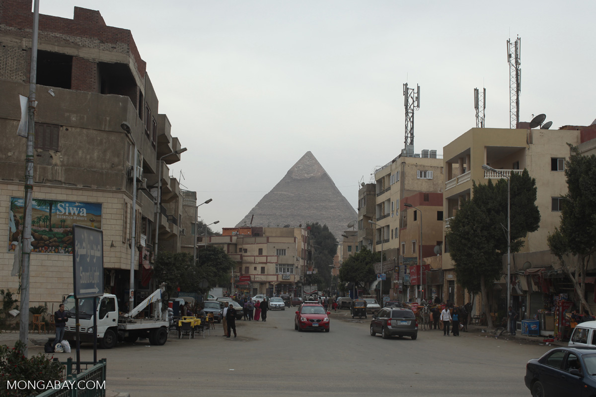 Ysf990__'s tweet image. Just as when I learnt about my original #Home in #Najd, #Arabia, before my #Family moved to the city for financial reasons, my eyes glowed bright upon gazing at #Giza, #Egypt🇪🇬.

It's not the #Pyramids which I don't care about, but the #City and how NOT industrialized it is.

☀️