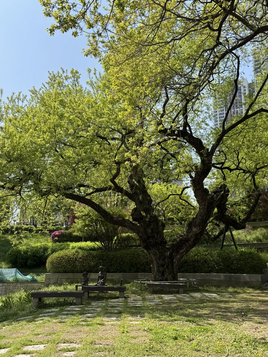 BitDaddy⚡️비트대디 tweet media