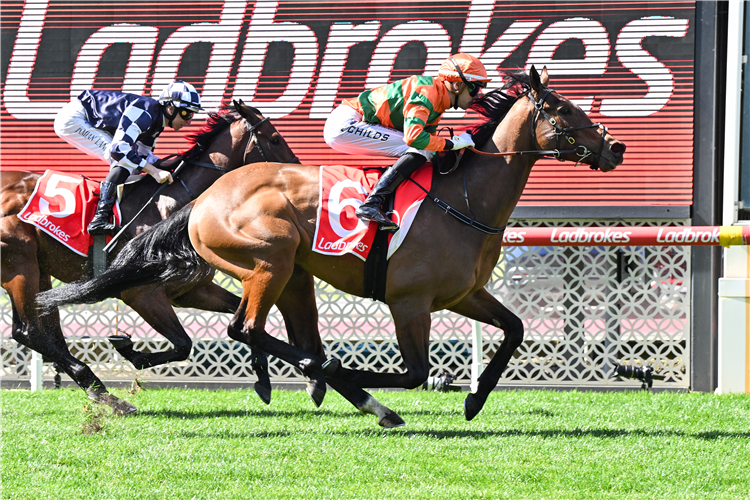 Giddy Up With Gareth Hall tweet media