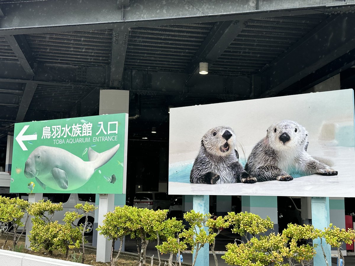 Foo🐾Zoo tweet media