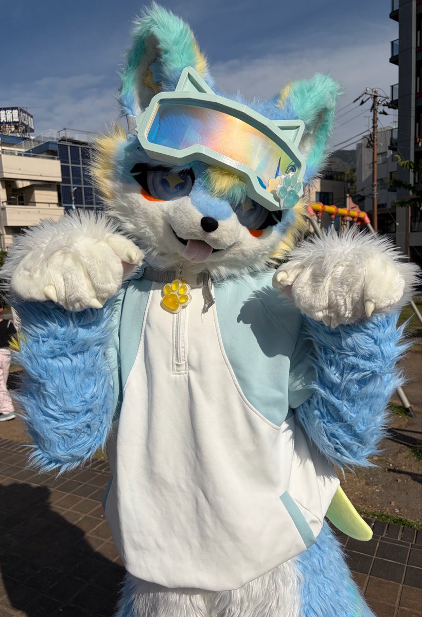 もふルゥ🔰(ルミナくんオーナー) tweet media