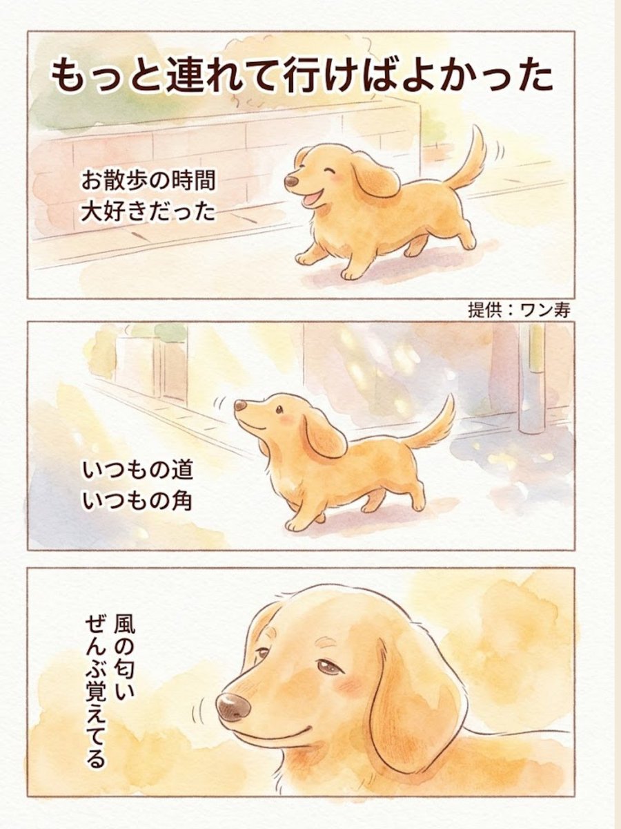 わんわん物語@ワン寿 tweet media