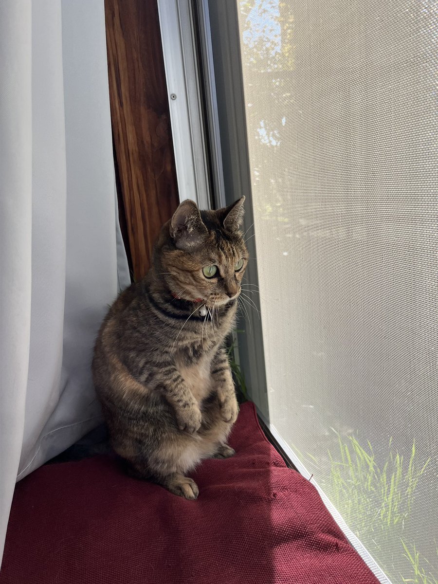 おたむ tweet media