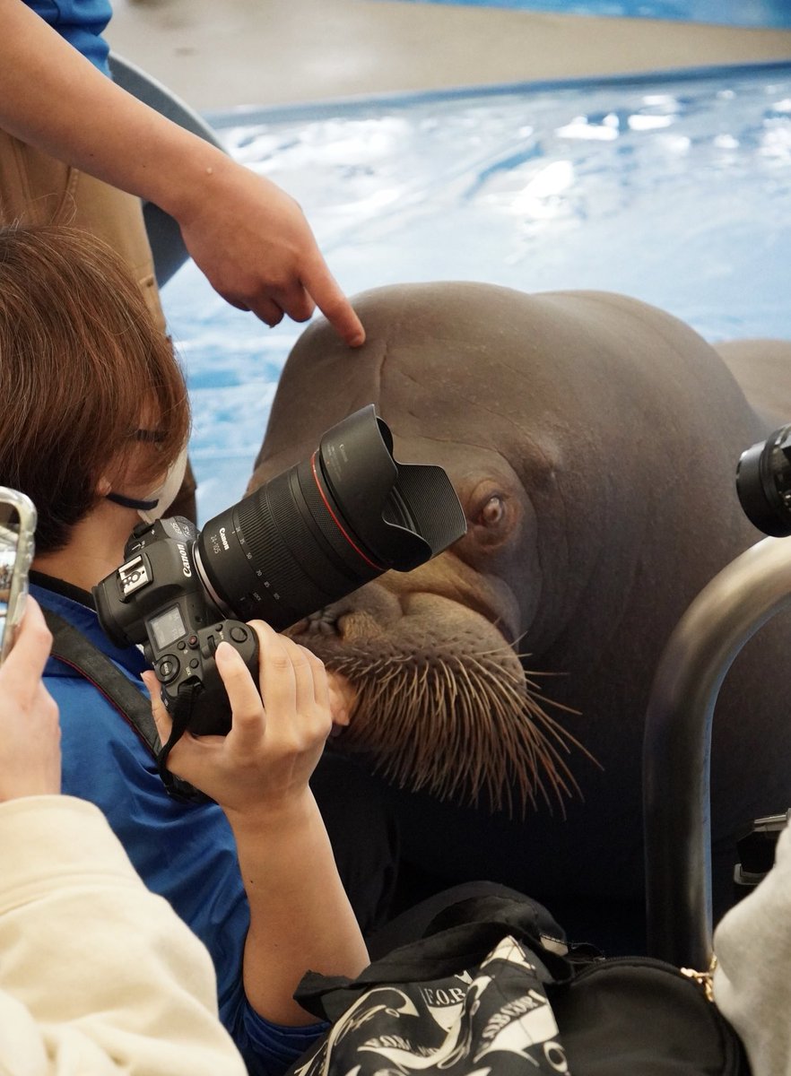 Foo🐾Zoo tweet media