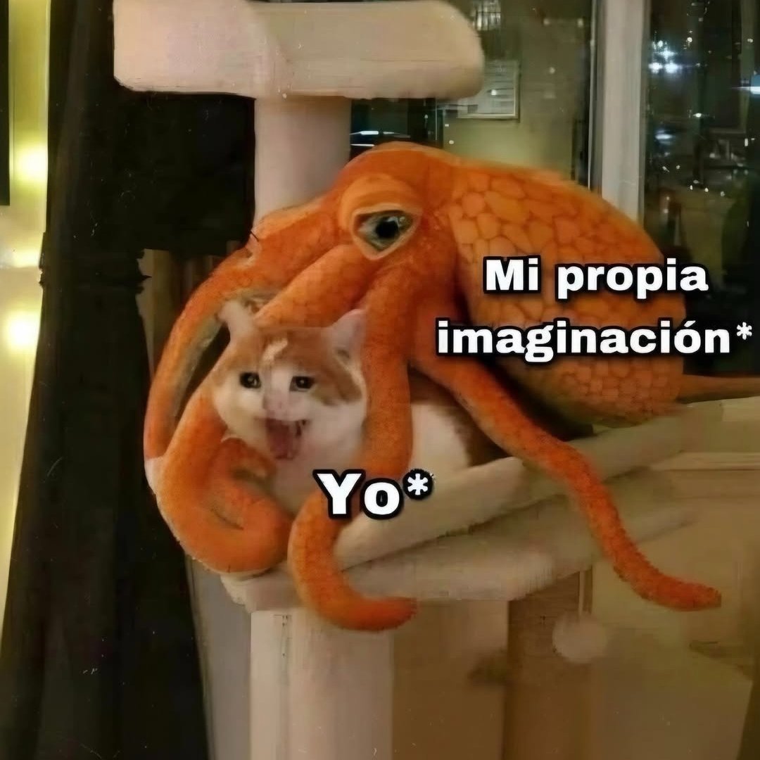 Salvador Iglesias Jr (@javisness) on Twitter photo 