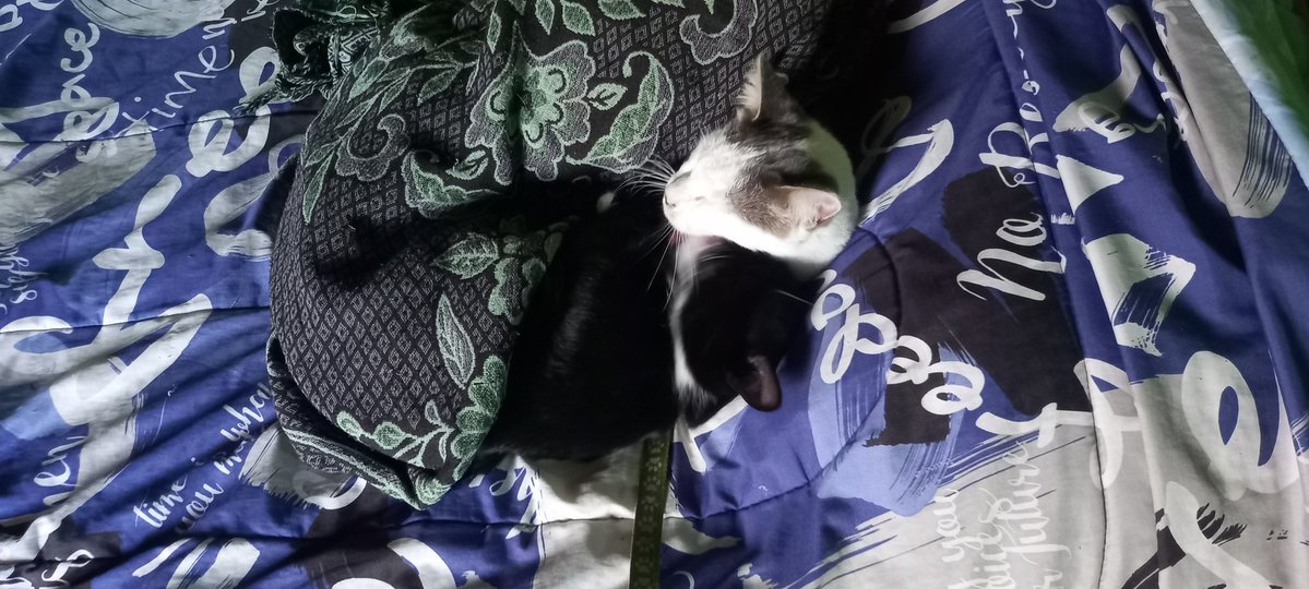 ❝ 🕷ʿʿ 𝕸𝖆𝖙𝖎𝖆𝖘 ʿʿ 🇦🇷 VA A VER A BTS tweet media