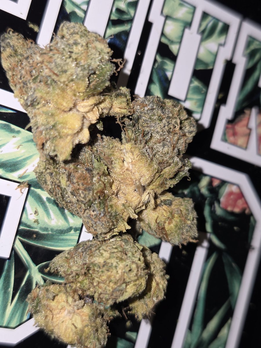 ⒸђⓐŇᶜ𝐄ℂя€卂т𝐈Ⓞ𝓃 tweet media