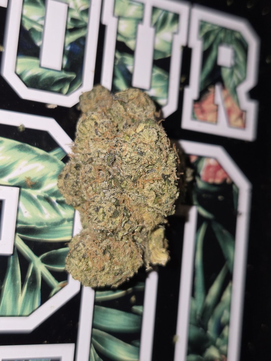 ⒸђⓐŇᶜ𝐄ℂя€卂т𝐈Ⓞ𝓃 tweet media