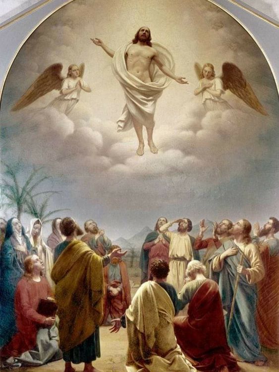 Santo do dia tweet media