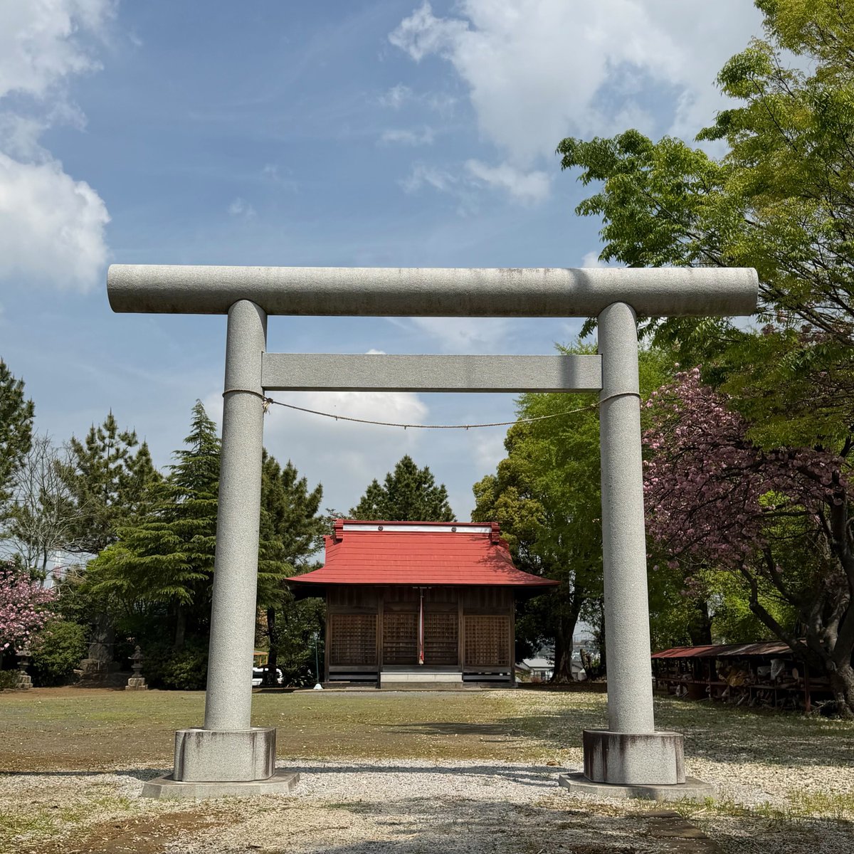 My Playful Town（MPT）-伊勢原市内在学中の大学生による町の楽しみ方- tweet media