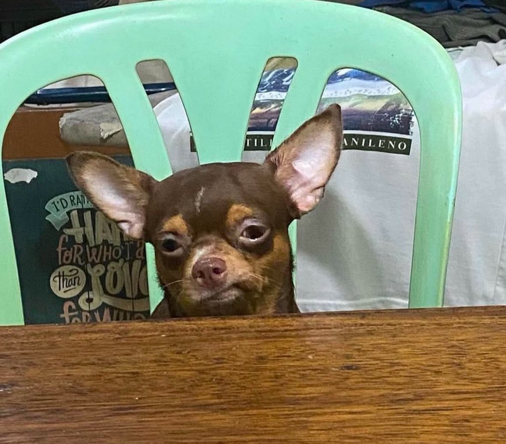 #FueraFarias (@pedroperezpu) on Twitter photo 